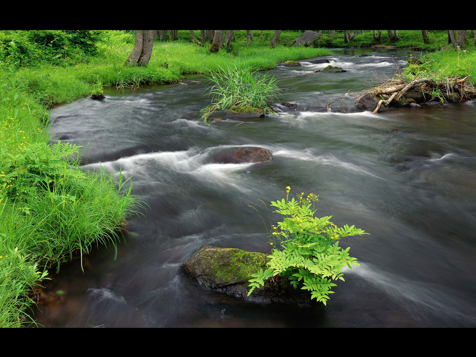 Fonds d'cran Nature Fleuves - Rivires - Torrents 