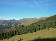  Nature Paysage, rivire et foret sur une seul randonne.