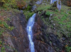  Nature Paysage, rivire et foret sur une seul randonne.