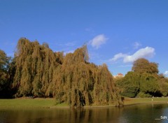 Fonds d'cran Nature PARCS ET JARDINS