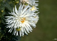  Nature PARCS ET JARDINS