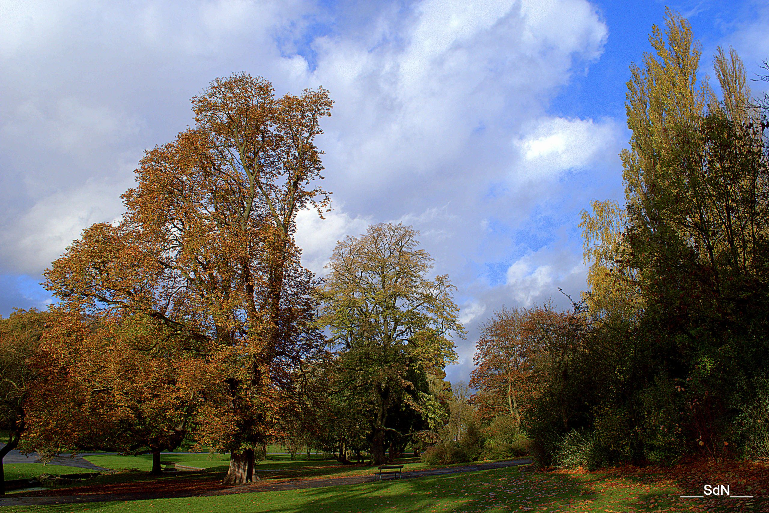 Fonds d'cran Nature Parcs - Jardins PARCS ET JARDINS