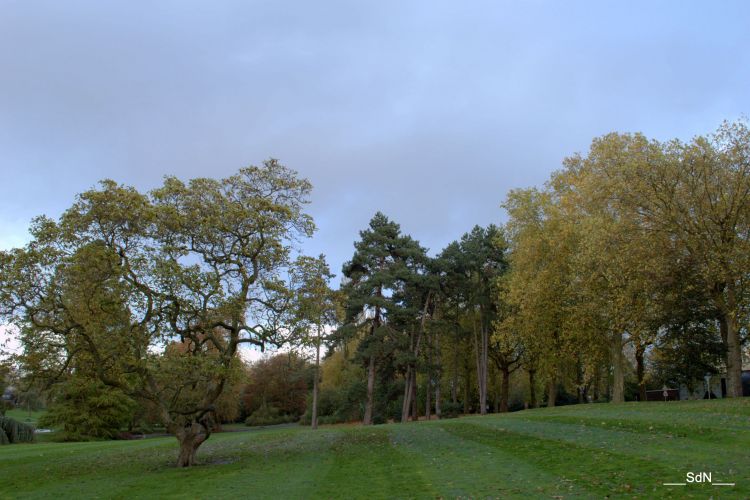 Fonds d'cran Nature Parcs - Jardins PARCS ET JARDINS