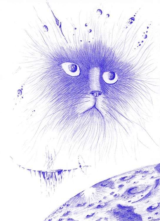 Wallpapers Art - Pencil Animals - Cats - Kittens Le chat de Schrdinger