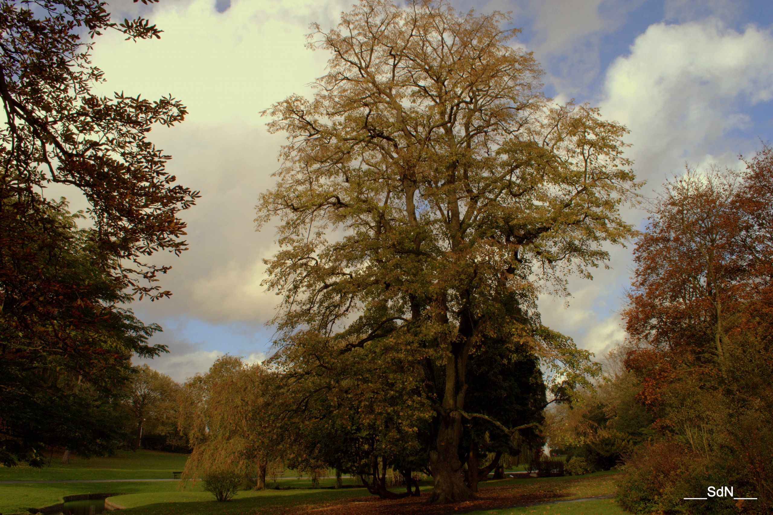 Fonds d'cran Nature Parcs - Jardins PARCS ET JARDINS