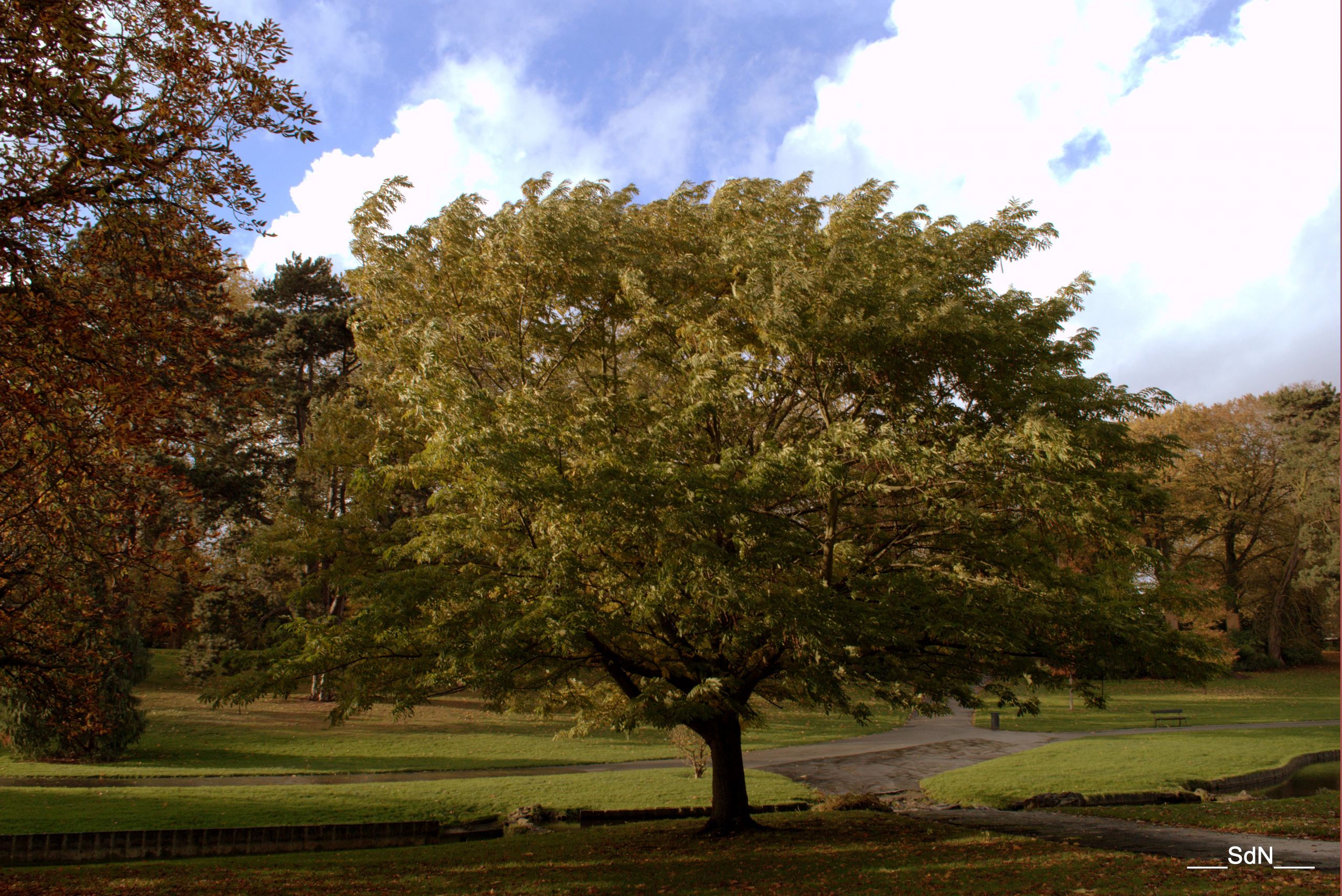 Fonds d'cran Nature Parcs - Jardins PARCS ET JARDINS