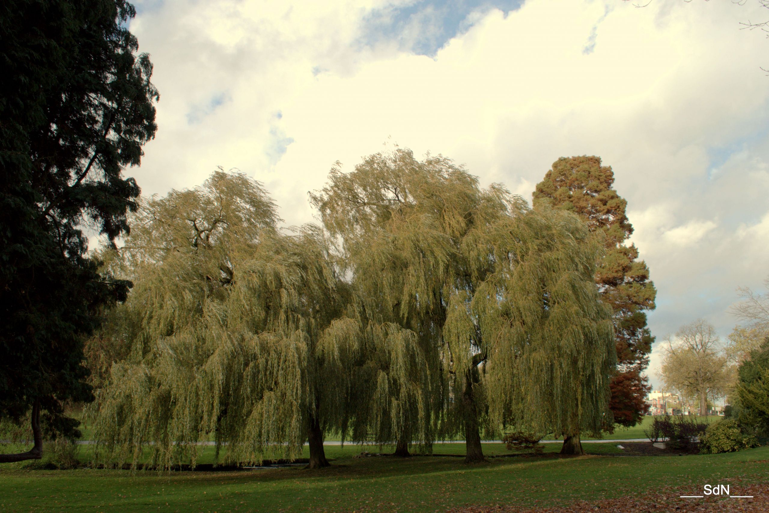 Fonds d'cran Nature Parcs - Jardins PARCS ET JARDINS