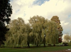  Nature PARCS ET JARDINS