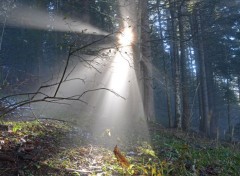  Nature Hivers dans les nuages