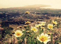  Nature Campagne de Santorini