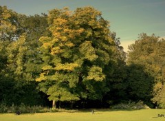  Nature PARCS ET JARDINS