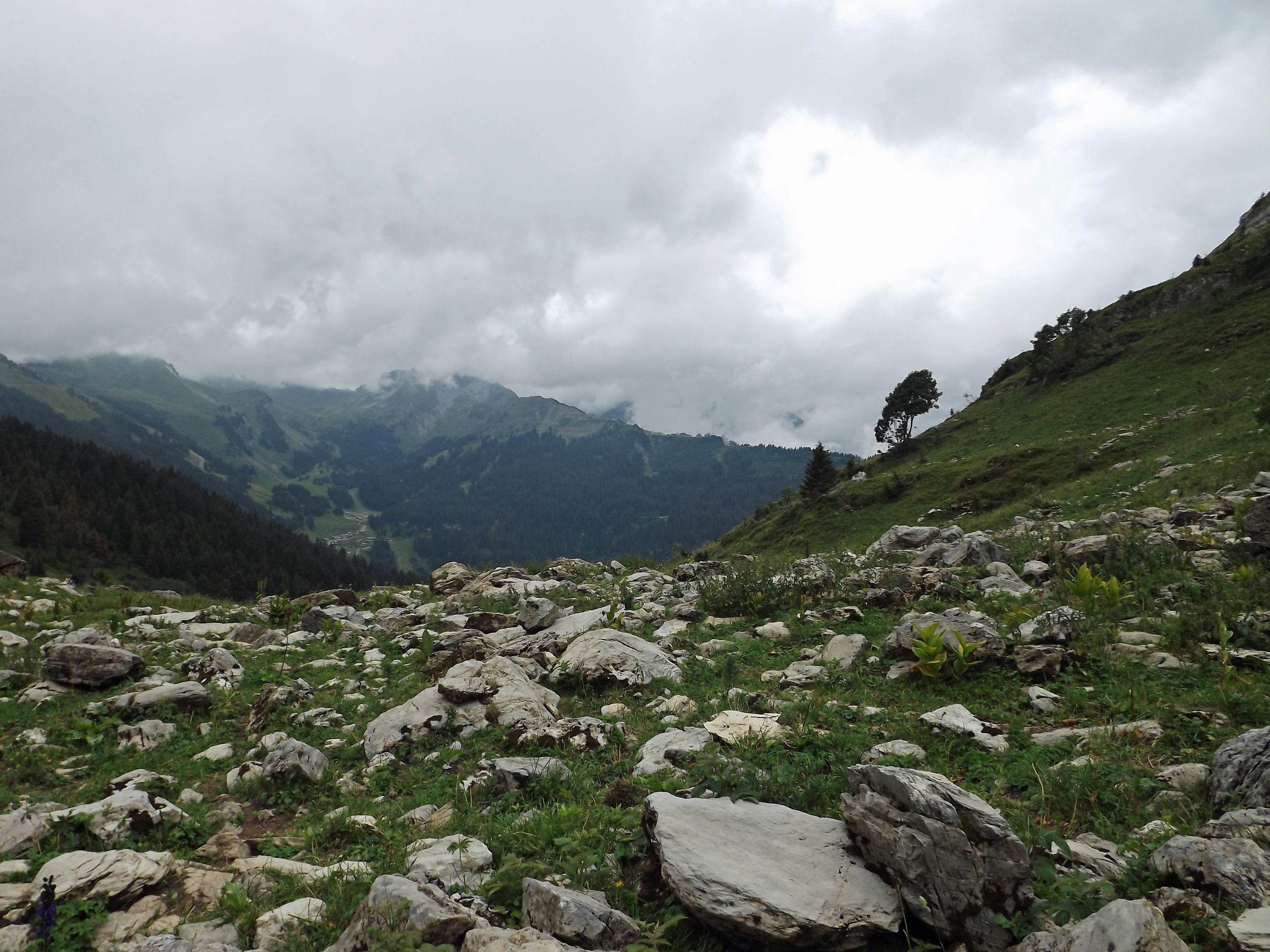 Wallpapers Nature Mountains en montagne