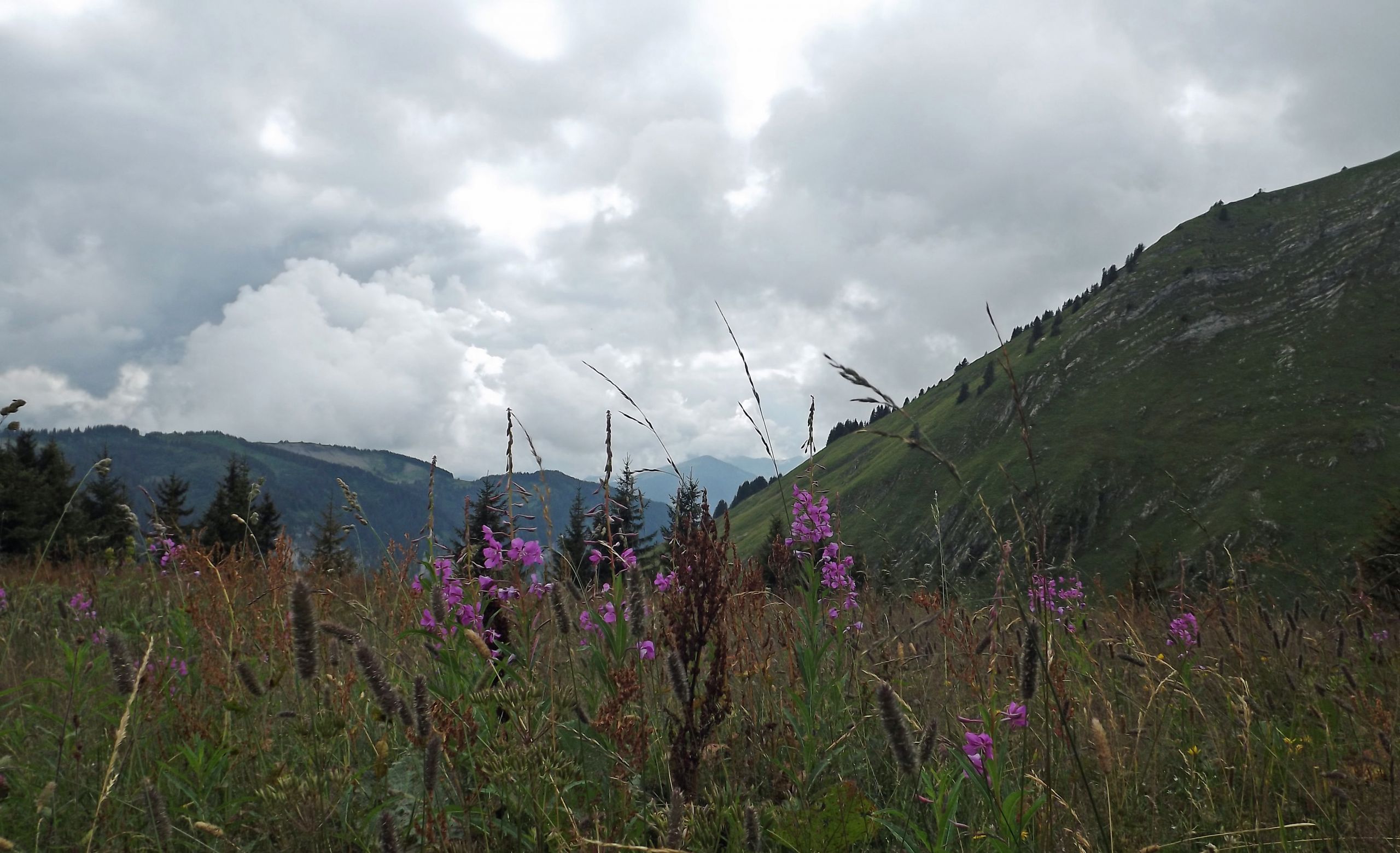 Wallpapers Nature Mountains en montagne