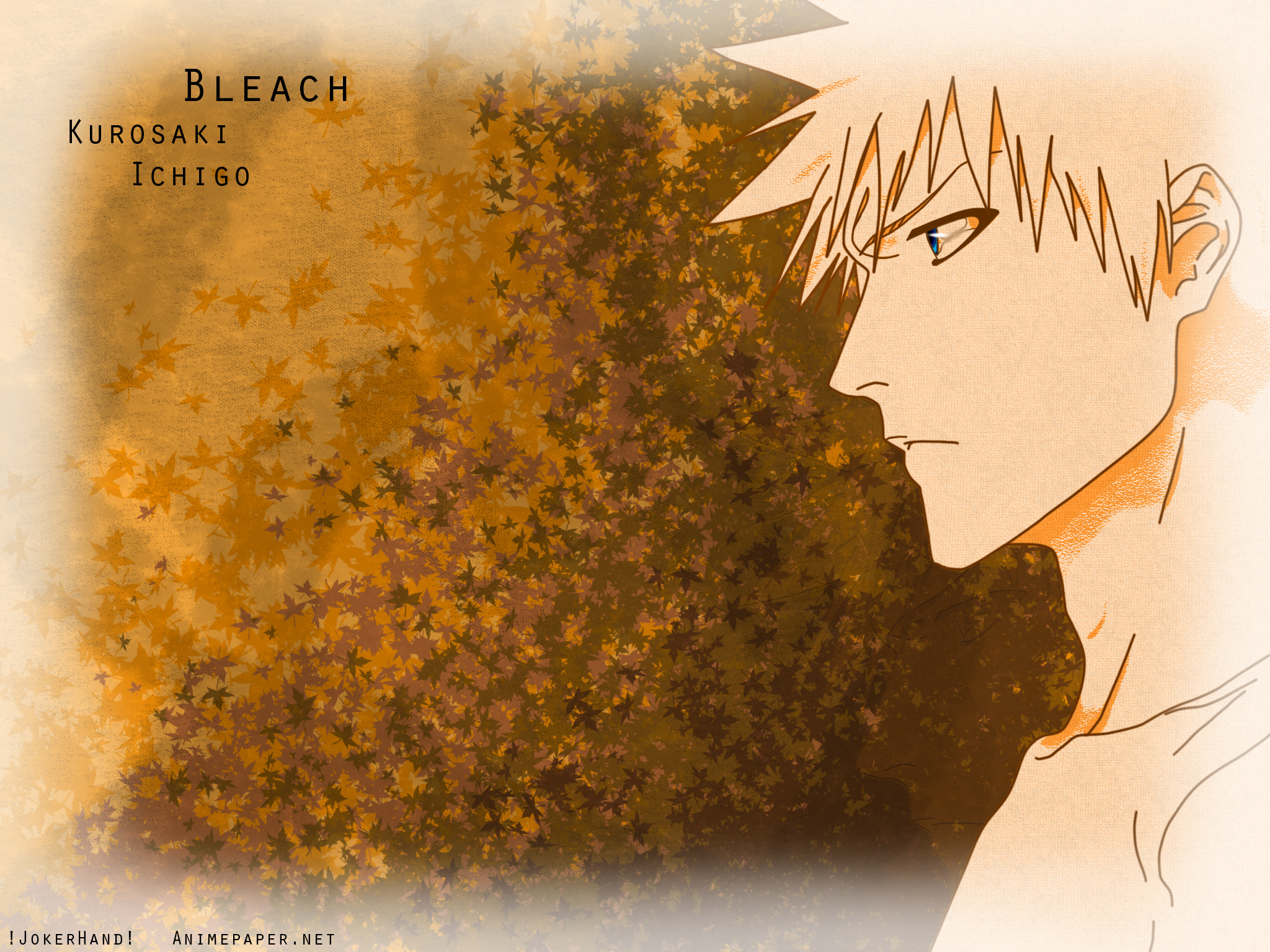 Fonds d'cran Manga Bleach 