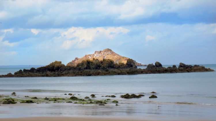 Fonds d'cran Nature Mers - Ocans - Plages plage des valles, pleneuf valandr bretagne