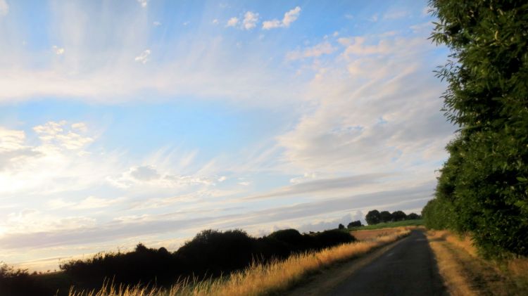 Fonds d'cran Nature Campagne bretagne cote d'armor