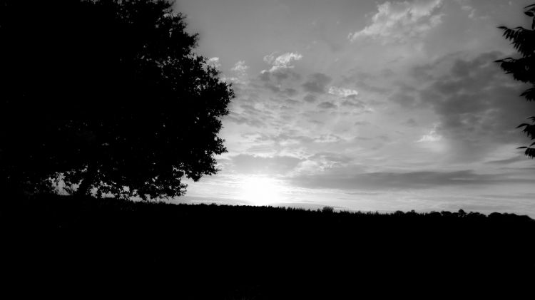 Fonds d'cran Nature Campagne bretagne cote d'armor