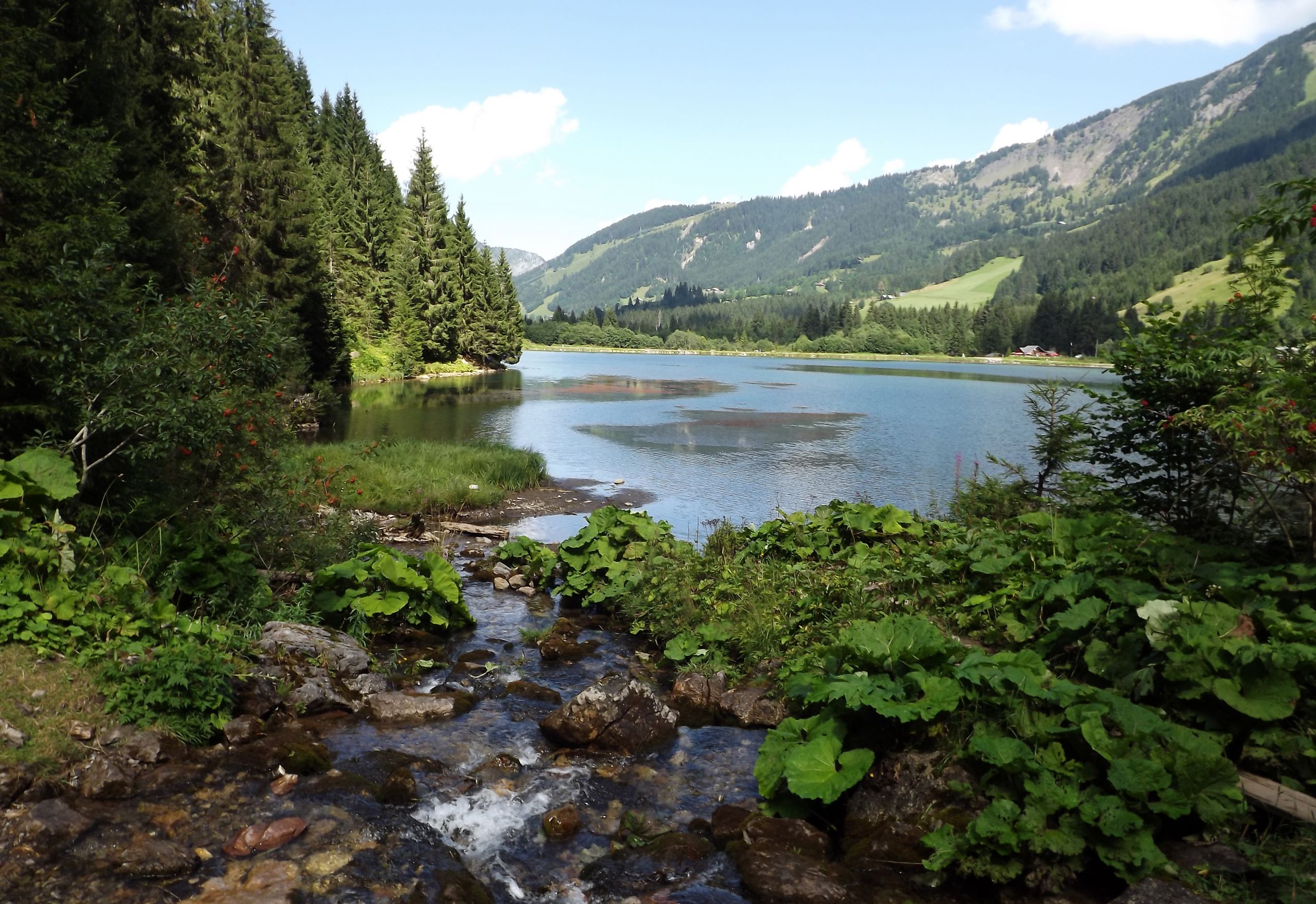 Fonds d'cran Nature Lacs - Etangs lac des plagnes