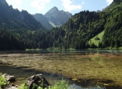  Nature lac des plagnes