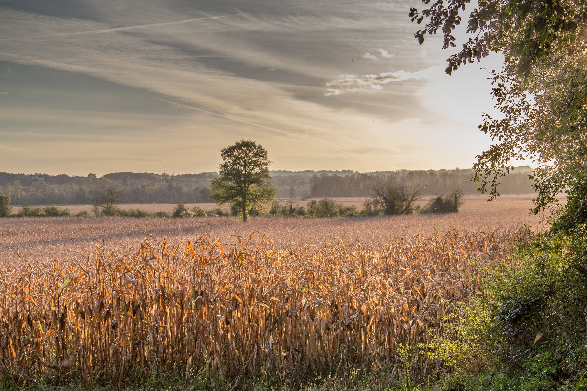 Fonds d'cran Nature Campagne 