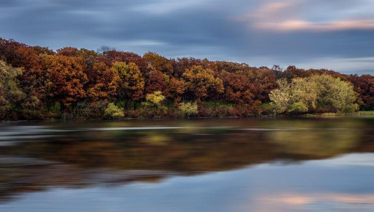 Fonds d'cran Nature Arbres - Forts Wallpaper N364217