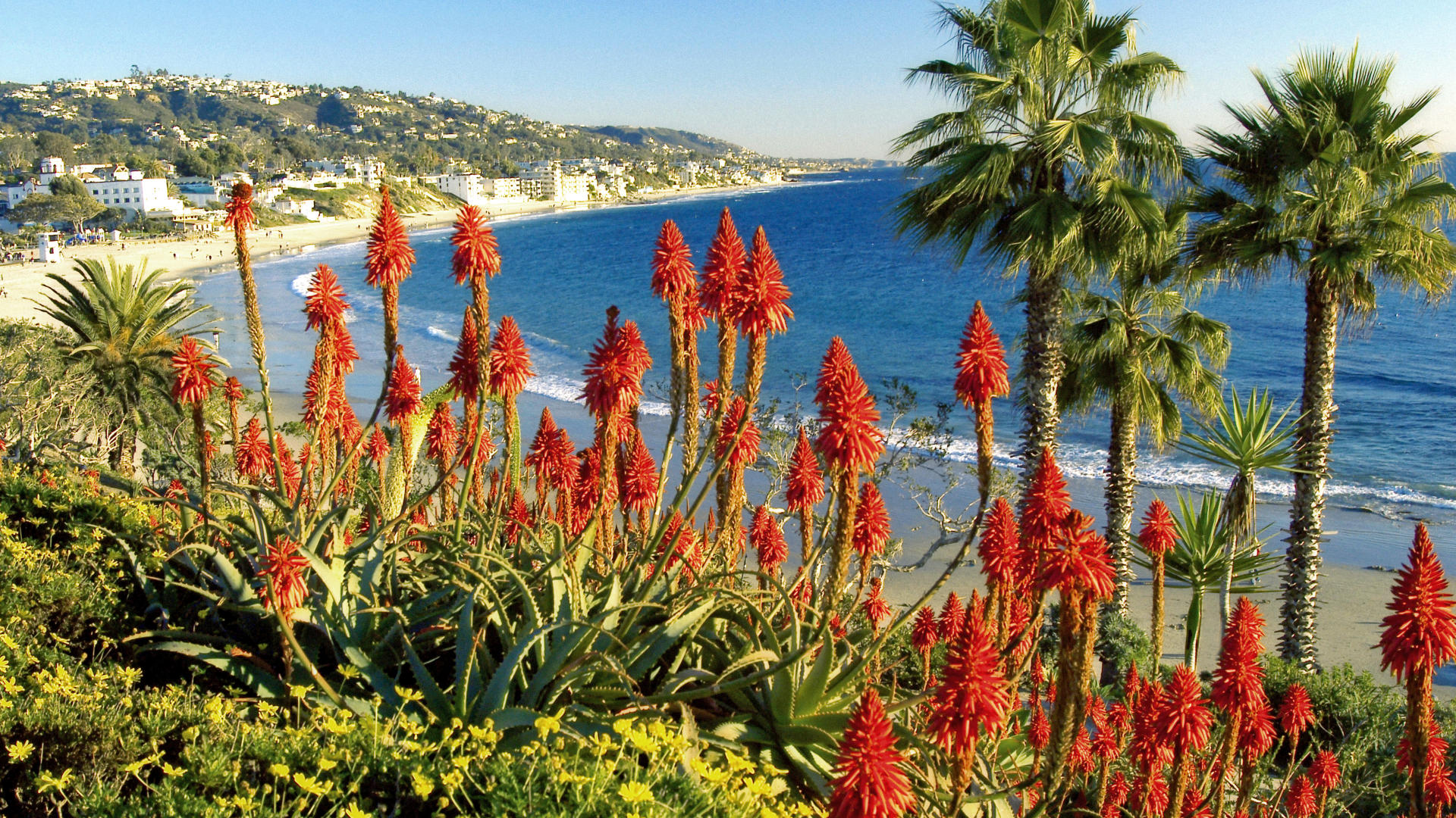 Fonds d'cran Nature Mers - Ocans - Plages 