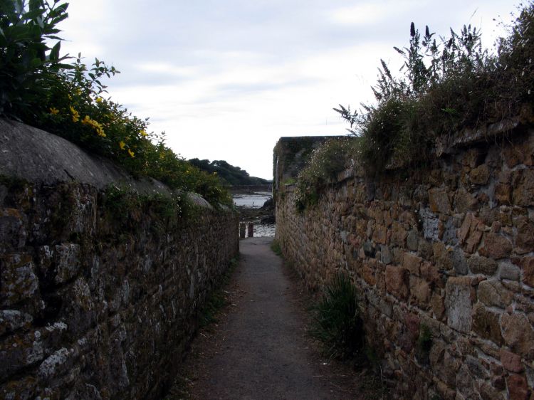 Fonds d'cran Nature Chemins Vers un ailleurs