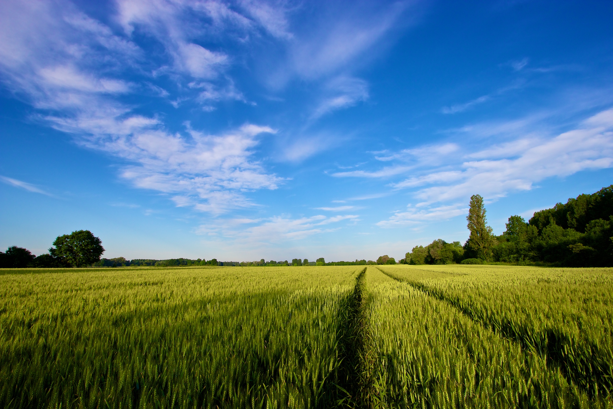 Fonds d'cran Nature Paysages 