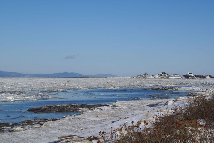 Fonds d'cran Nature Fleuves - Rivires - Torrents CHAMPS DE GLACES