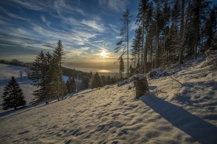 Fonds d'cran Nature Couchers et levers de Soleil Lever de soleil avec brume sur la plaine