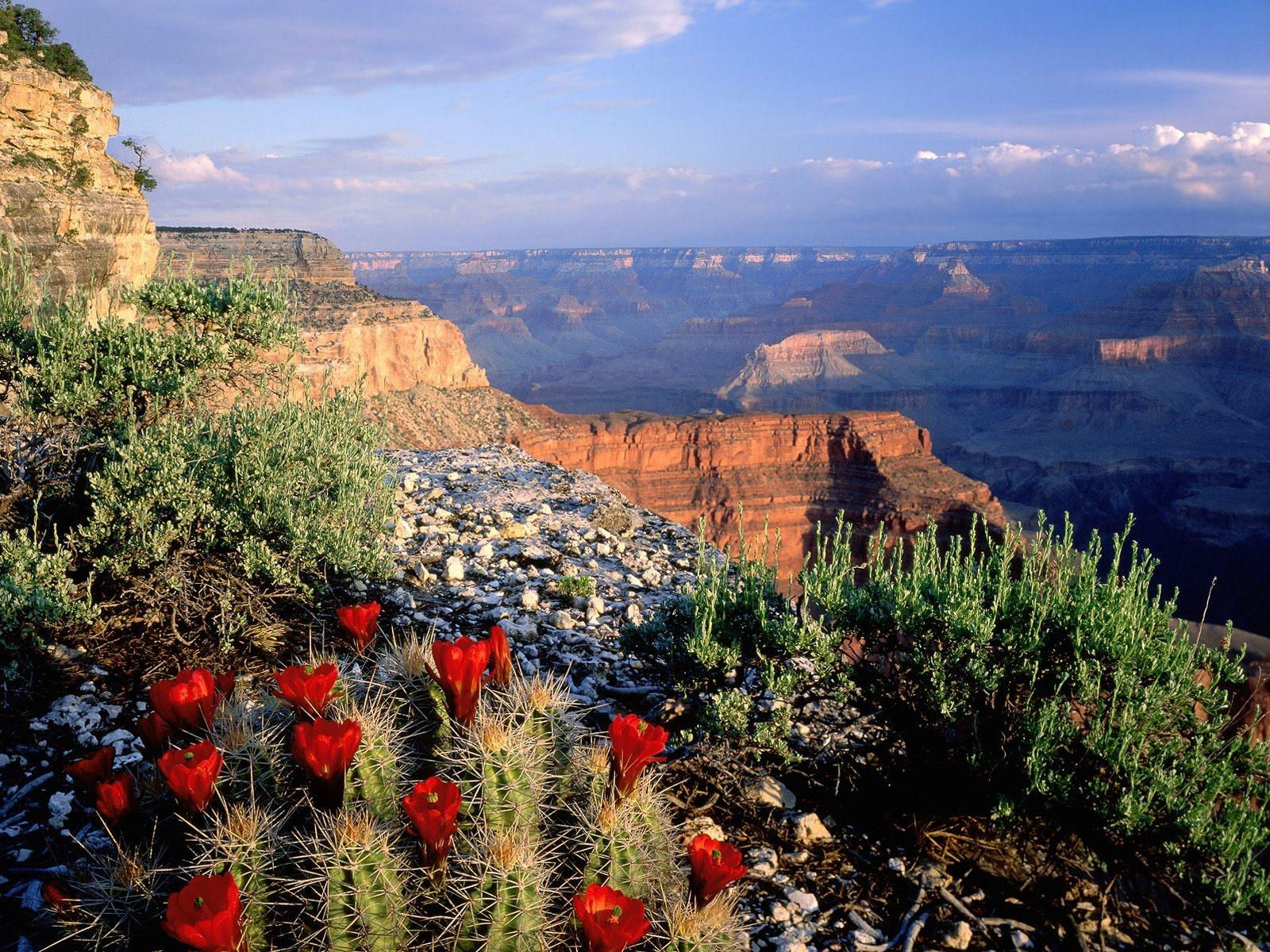 Fonds d'cran Nature Canyons 