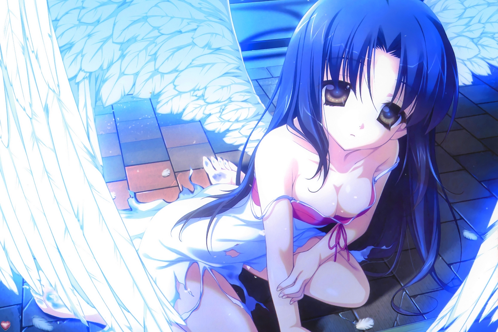 Wallpapers Manga Miscellaneous - Angels 