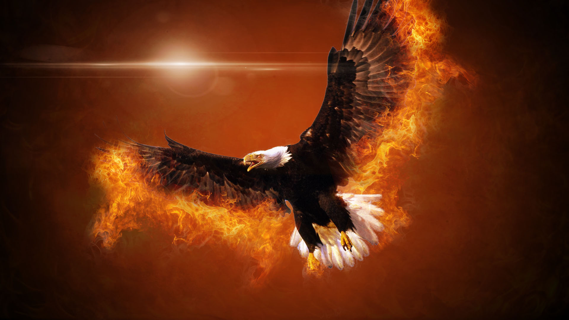 Wallpapers Digital Art Animals Aigle en feu