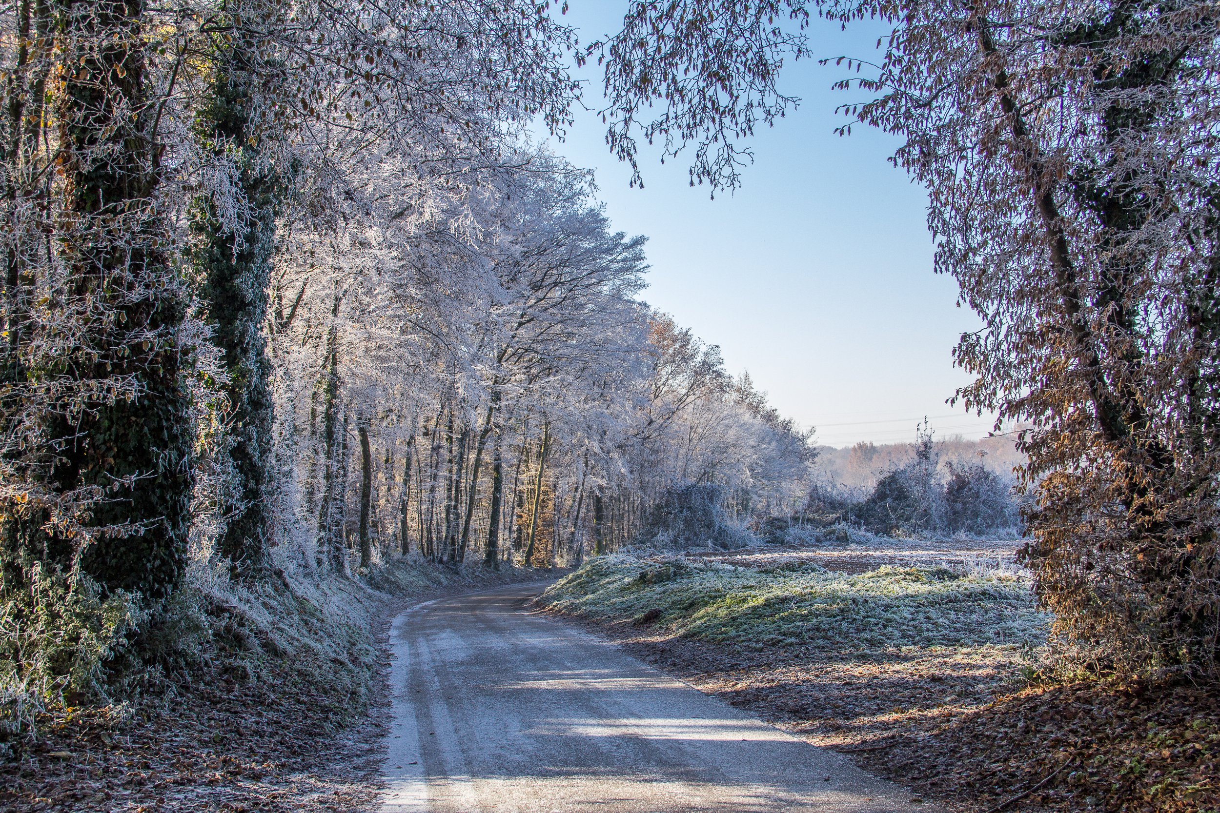 Fonds d'cran Nature Saisons - Hiver le givre (suite)