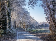  Nature le givre (suite)