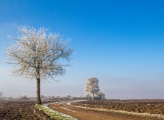  Nature le givre (suite)