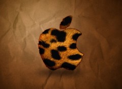  Informatique WALLPAPER APPLE LEOPARD/PAPIER