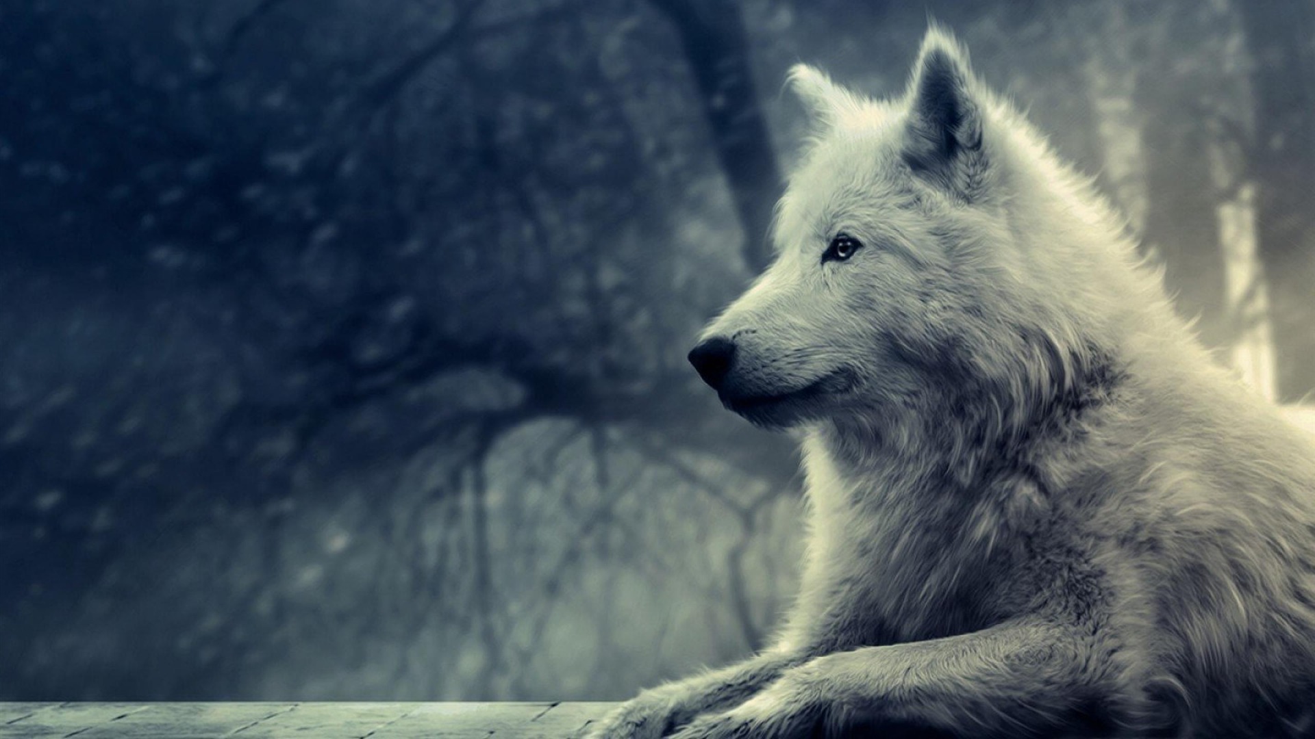 Wallpapers Animals Wolves 