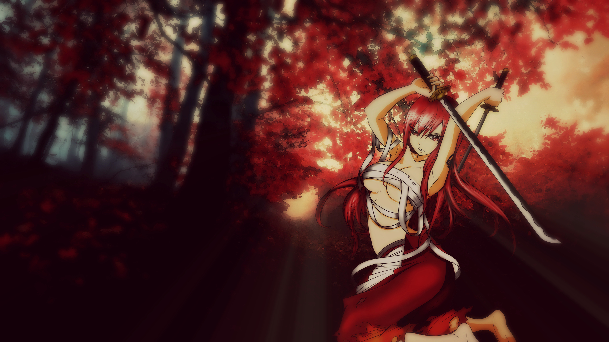 Wallpapers Manga Fairy Tail Erza Scarlet 