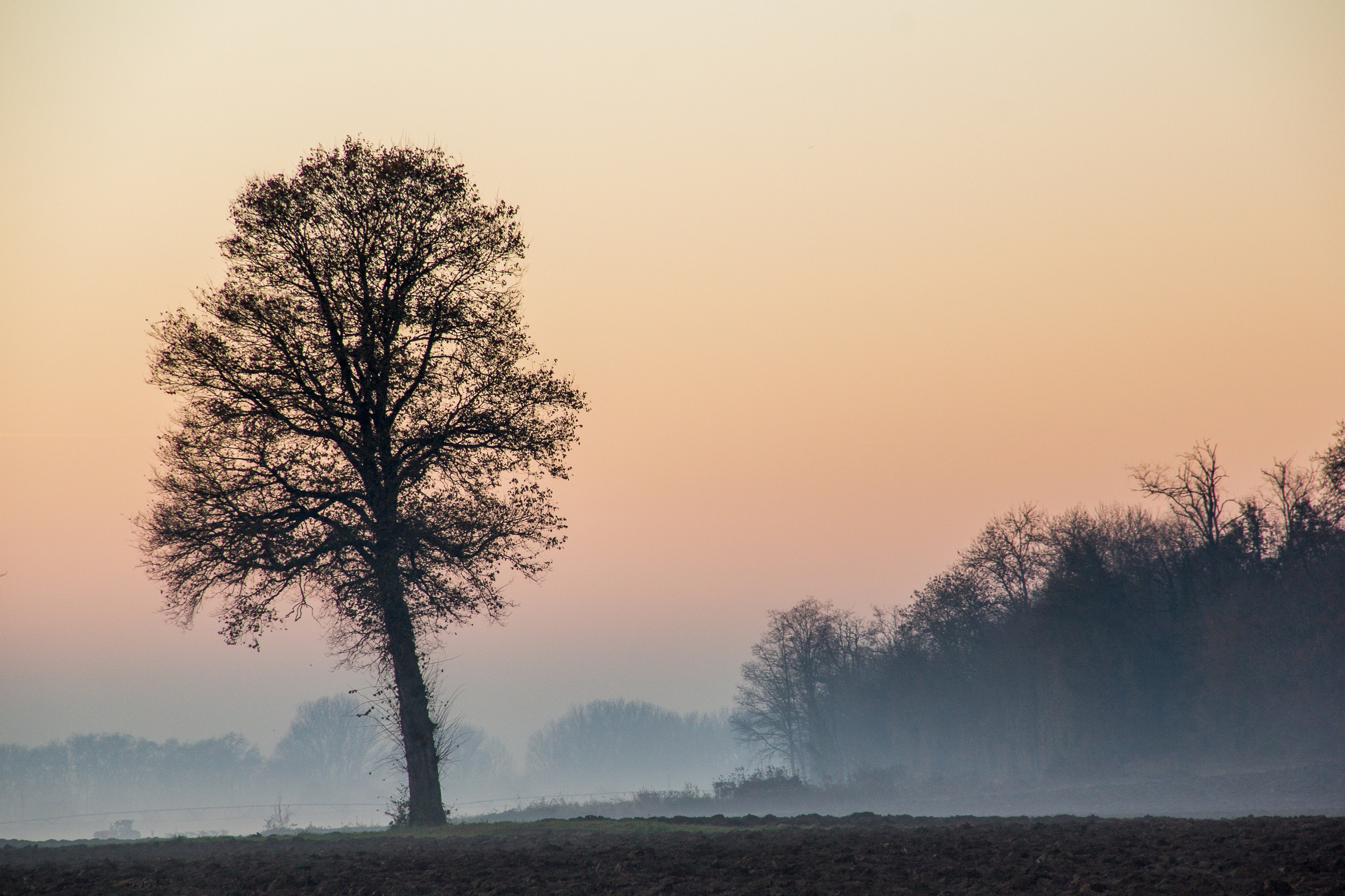 Fonds d'cran Nature Saisons - Hiver une journée dans la campagne en hiver