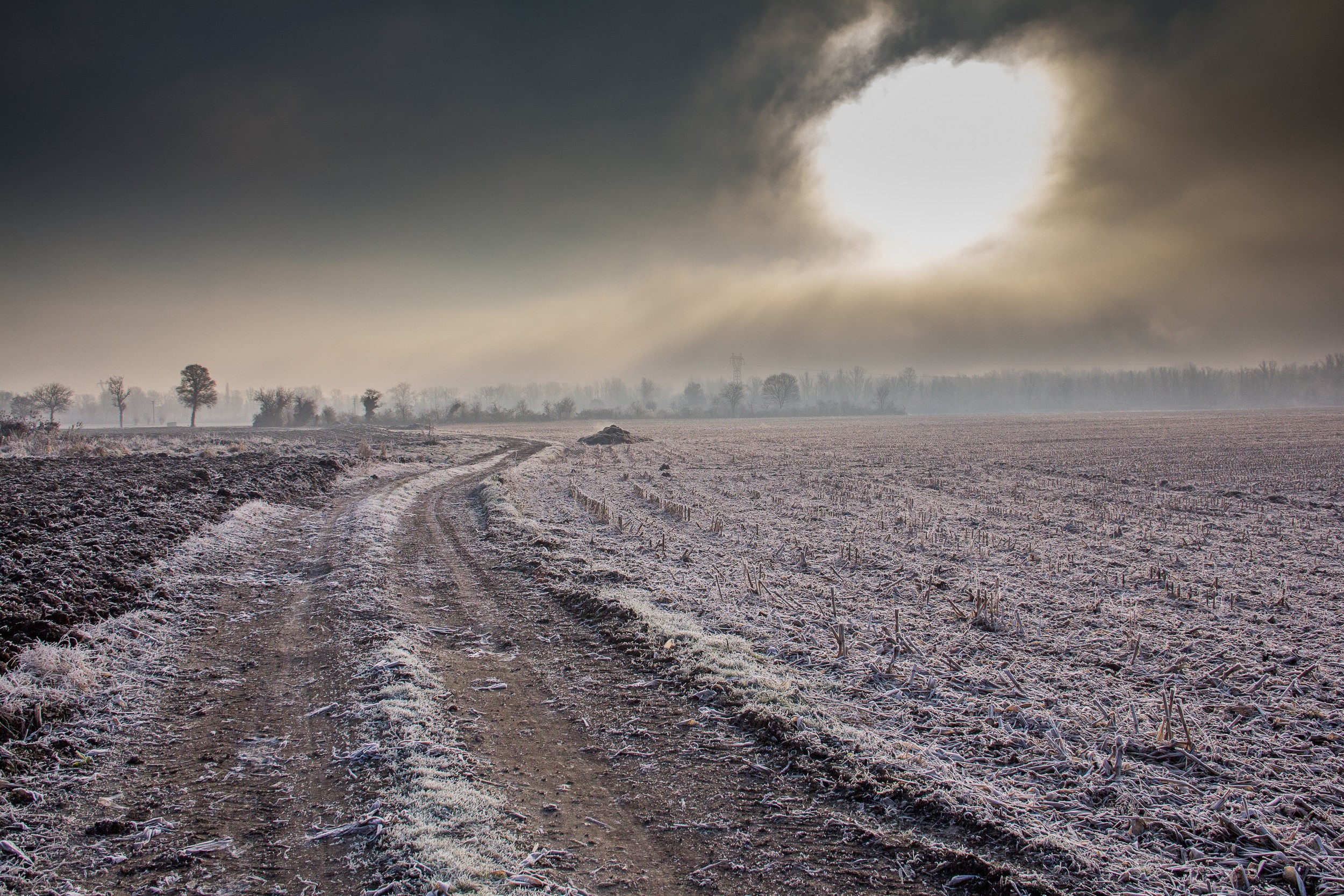 Fonds d'cran Nature Saisons - Hiver une journée dans la campagne en hiver