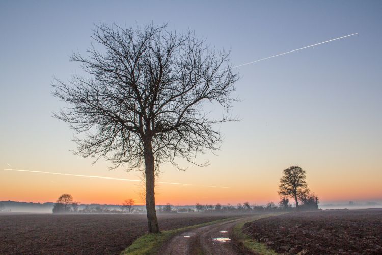 Fonds d'cran Nature Saisons - Hiver une journe dans la campagne en hiver