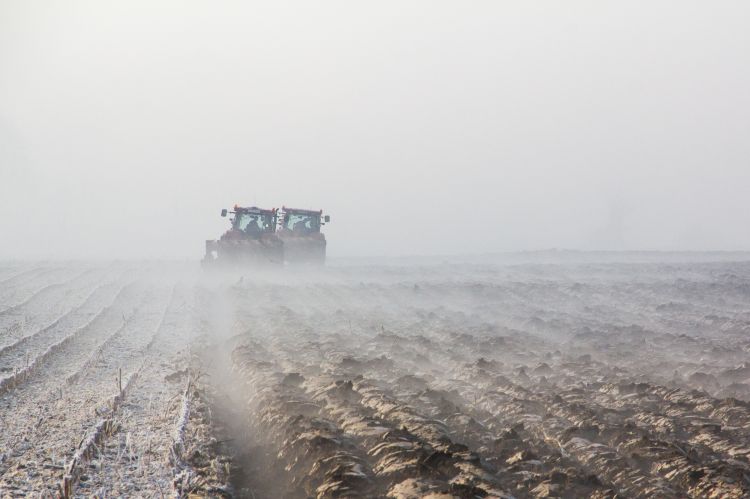 Fonds d'cran Nature Saisons - Hiver une journée dans la campagne en hiver