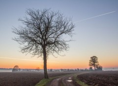  Nature une journe dans la campagne en hiver