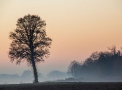  Nature une journée dans la campagne en hiver