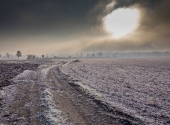  Nature une journée dans la campagne en hiver