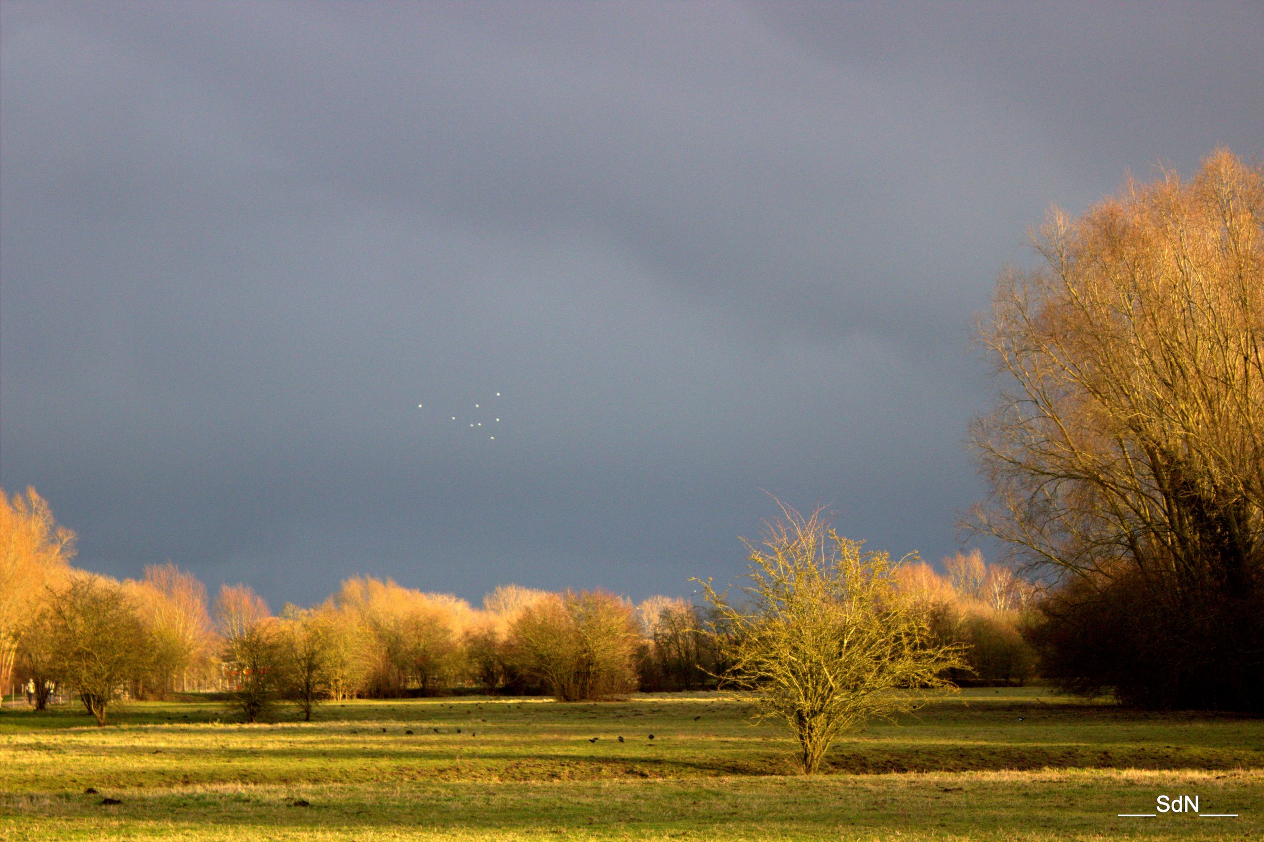 Wallpapers Nature Landscapes Paysages villeneuvois