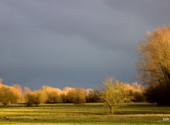  Nature Paysages villeneuvois