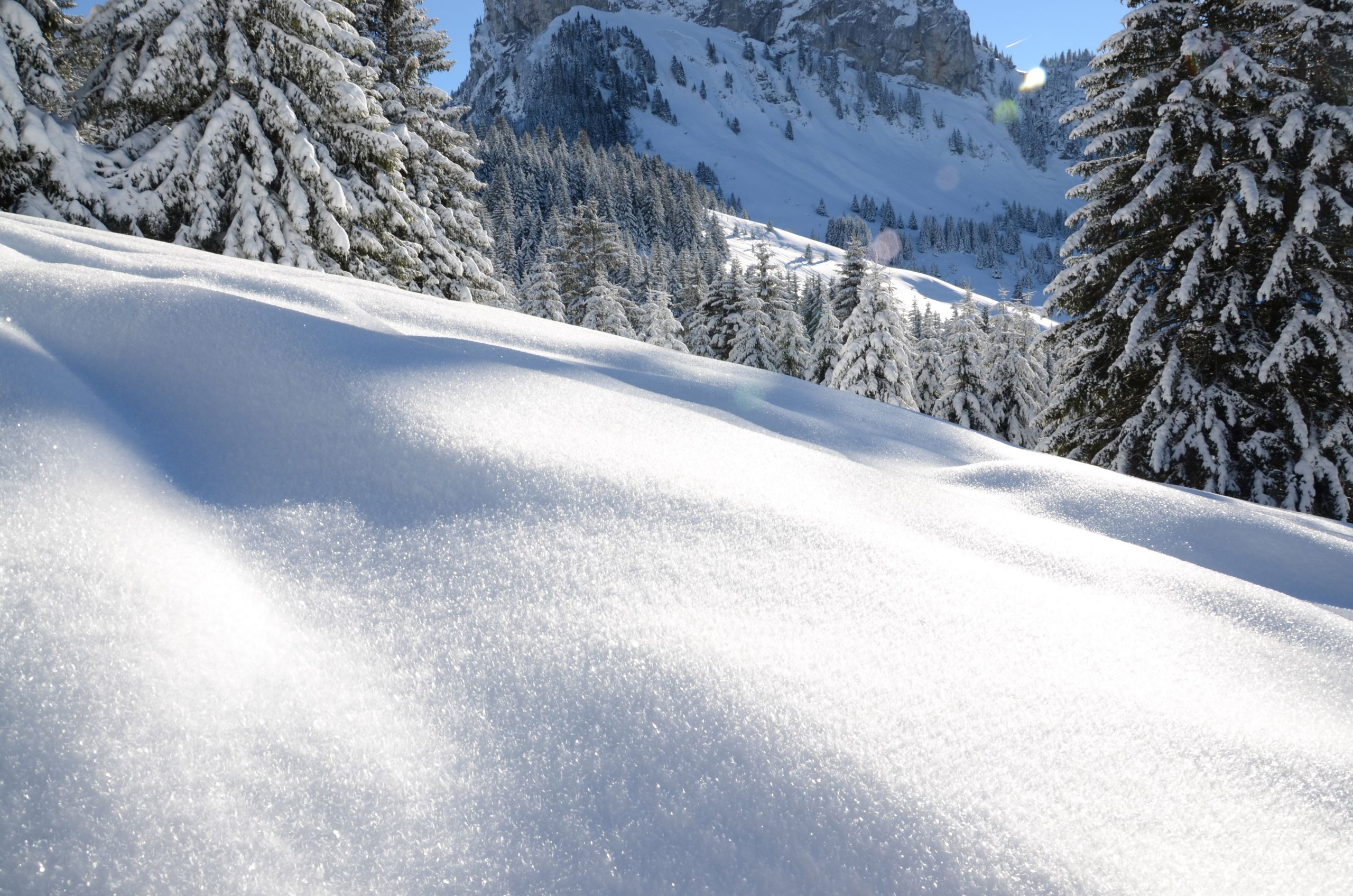 Fonds d'cran Nature Saisons - Hiver 