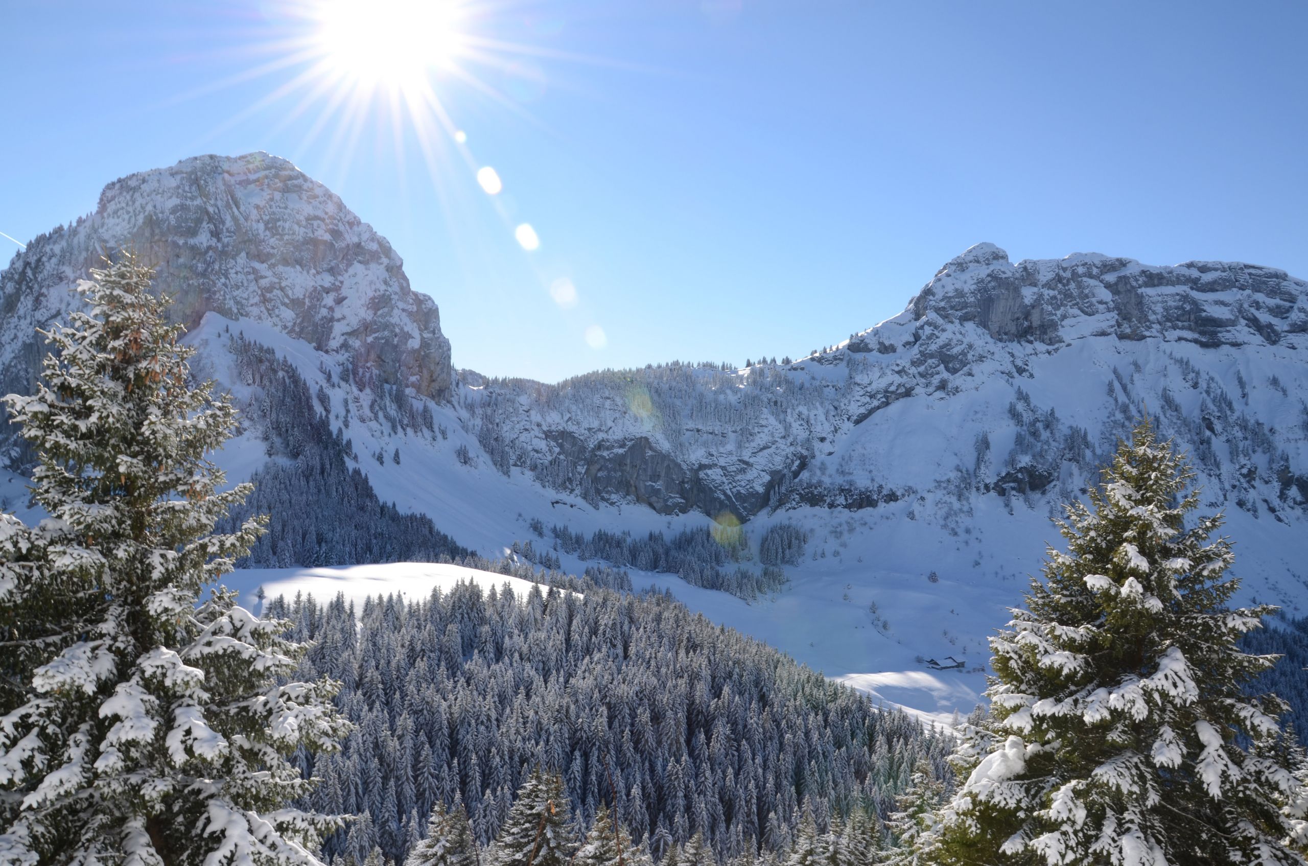 Fonds d'cran Nature Saisons - Hiver 